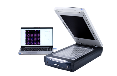 大米外观品质检测仪：多参数、批量化自动分析